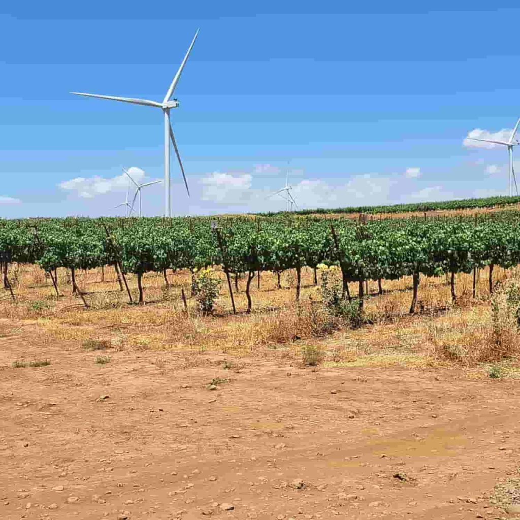 שמאי במושבים - גל מושקה - מושקה שמאות מקרקעין